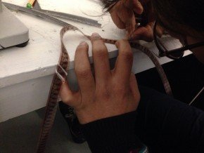 Praskanje na filmski trak